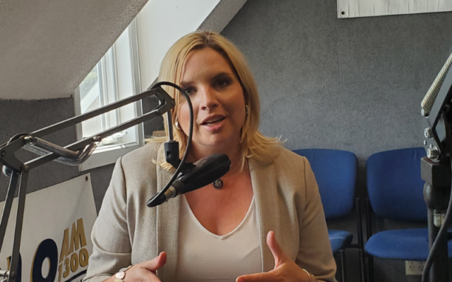 Hinson says temporary federal spending plan likely by Friday deadline