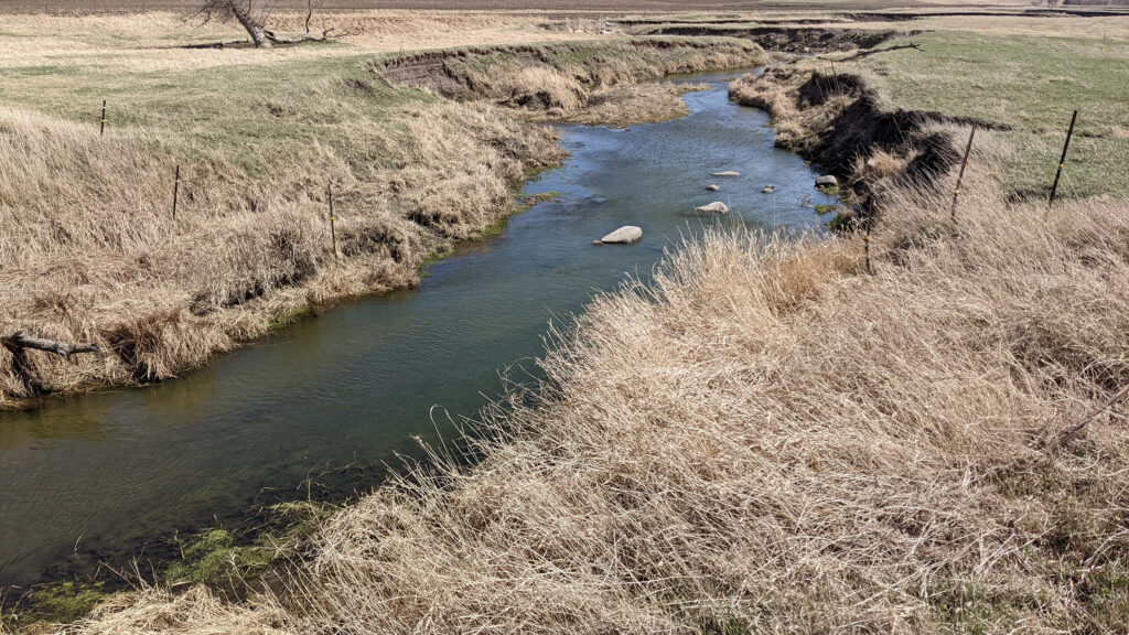 Northeast Iowa dairy farm fined for contaminating creek Northeast Iowa dairy farm fined for contaminating creek