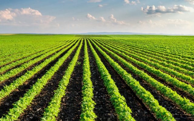 Nominations Are Open For The 2024 Iowa Farm Environmental Leader Award Nominations Are Open For The 2024 Iowa Farm Environmental Leader Award