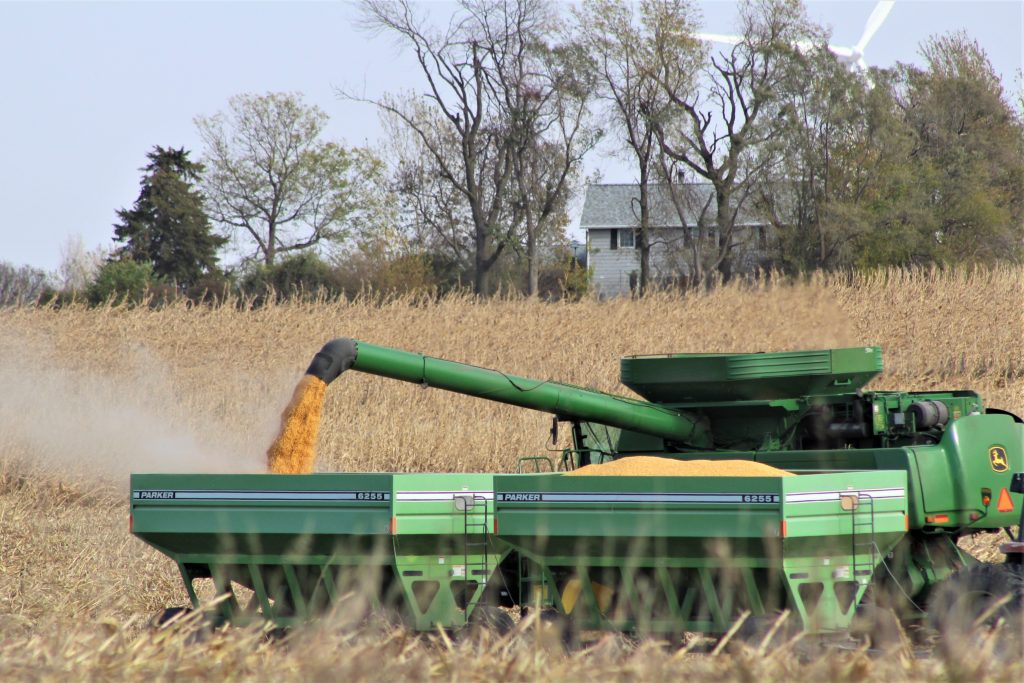 Corn harvest begins in Iowa after an ‘unseasonably’ cool week 1 Corn harvest begins in Iowa after an ‘unseasonably’ cool week 1