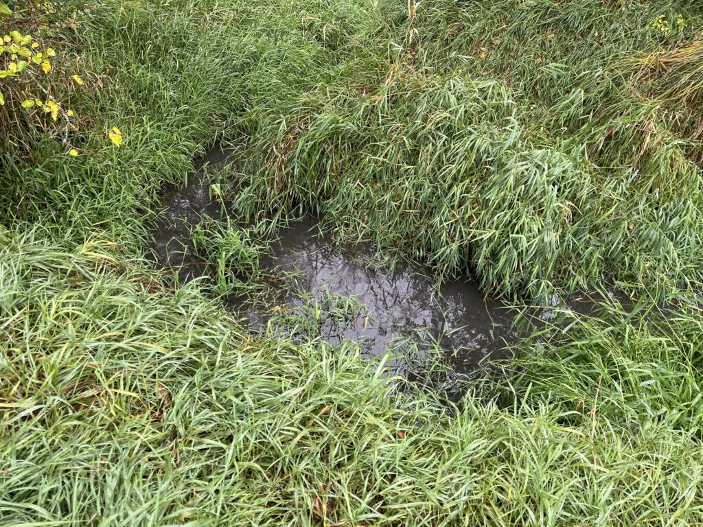 DNR monitoring hog manure spill and clean up in Carroll County 1 DNR monitoring hog manure spill and clean up in Carroll County 1