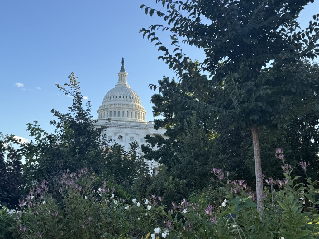 One stopgap after another: Shutdown puts Congress on the verge of failed spending process One stopgap after another: Shutdown puts Congress on the verge of failed spending process