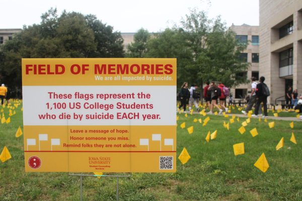 Field of Memories honors those impacted by suicide 1 Field of Memories honors those impacted by suicide 1