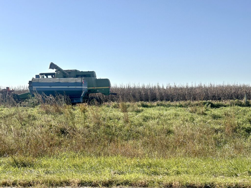 With drier weather, farmers make some progress on harvest 1 With drier weather, farmers make some progress on harvest 1